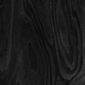 BŘÍZA černá 070C - f